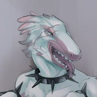 Raptor_Pup (@shirou_ogami14) 's Twitter Profile