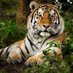 Mayur Pendhari (@pendharimayur15) Twitter profile photo Mayur Pendhari (@pendharimayur15) Twitter profile photo