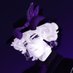 Leo Exists (@leoexists) Twitter profile photo Leo Exists (@leoexists) Twitter profile photo