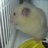 kp_20220724's profile image