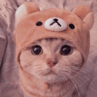 scarp3 (@scarp3_) 's Twitter Profile Photo scarp3 (@scarp3_) 's Twitter Profile Photo