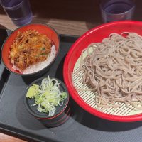 とてもめっちゃミニかき揚げ丼セット冷たいおそば大盛りBOT (@totemo_metya) 's Twitter Profile