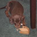 Roxann Smith - @dolphins69 - Twitter