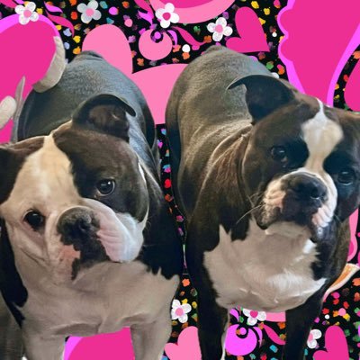 Wife 💍 Animal Lover 🐶 Coffee Lover ☕️ 🧋Shopper 🛍👠👢Cooking Lover 👩🍳 🇺🇸❤️🤍💙🇺🇸 #MAGA #TRUMP2024 #TrumpVance2024