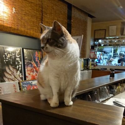 yGDdj8ZeNsnMHJb's profile picture. 