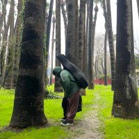 osmancello (@osmancello) 's Twitter Profile Photo osmancello (@osmancello) 's Twitter Profile Photo