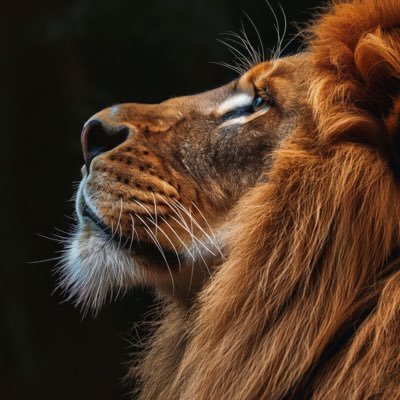 Loeil97's profile picture. khoul lan yousiibanaa ilaamaa kataba laahou lanaa.