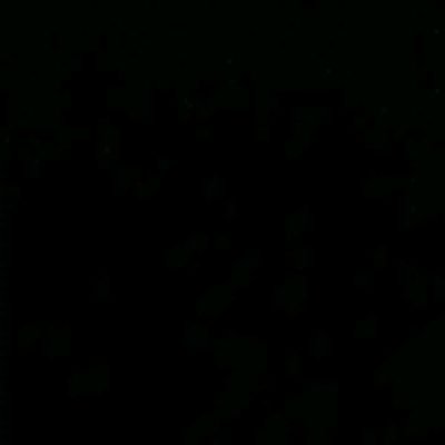 ruudboiiii's profile picture. Welcome To The Official Page Of Ruud Boi