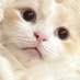 poro@5/4東7 Q58b (@sanoji201) Twitter profile photo poro@5/4東7 Q58b (@sanoji201) Twitter profile photo