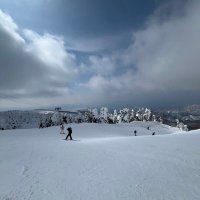 integral (@integral262776) Twitter profile photo