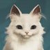 Soukur/そうくる (@soukur2411) Twitter profile photo Soukur/そうくる (@soukur2411) Twitter profile photo