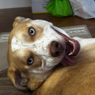 QuentinGordon12's profile picture. 