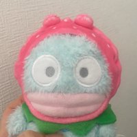 すみそハム (@sumisssoo) 's Twitter Profile Photo すみそハム (@sumisssoo) 's Twitter Profile Photo
