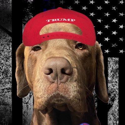 Maxx45_47's profile picture. 