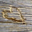 Love - @Adeline_may - Twitter
