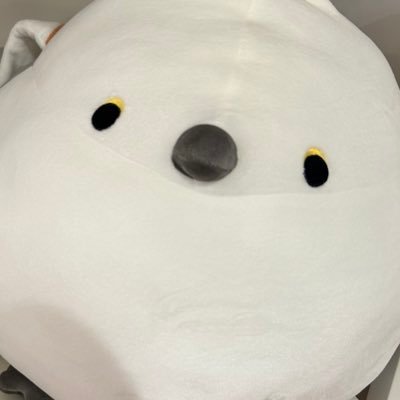 フユノさんのプロフィール画像