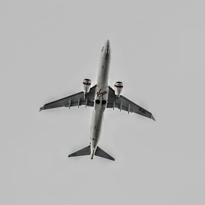 Gloryia999's profile picture. That's it...