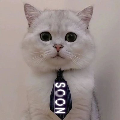 briby68854376's profile picture. 