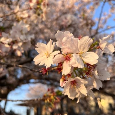 omame118's profile picture. uec25 1クラ インターネット初心者