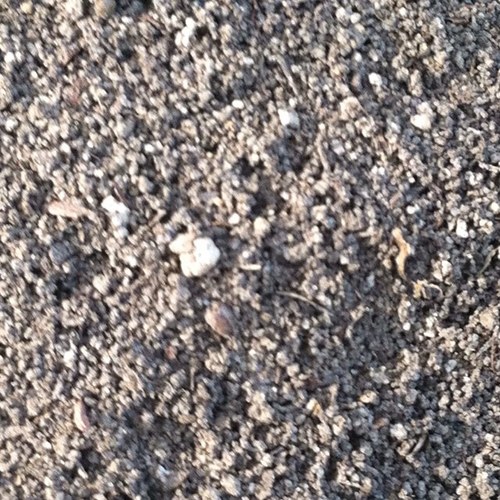 javrun's profile picture. 