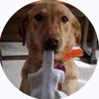 Noneyabiz (@noneyabiz210515) 's Twitter Profile Photo Noneyabiz (@noneyabiz210515) 's Twitter Profile Photo