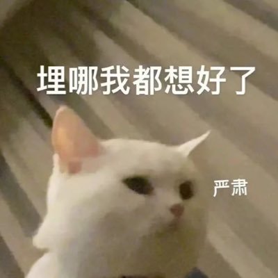 Somnua1's profile picture. 小M，私信随缘回，聊天请尊重人。住所方便/有钱开房/xp合得来的优先。