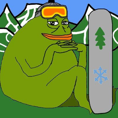 snowboardzoomer's profile picture. Christ is King ✝️🇻🇦 | #WANGHAF | widow of @sabrina_groyper