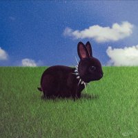 777 (@natpvrgs) 's Twitter Profile