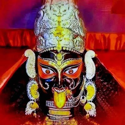 RitaRajak382605's profile picture. 