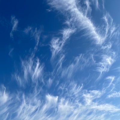 猫派🐱犬も好き🐶日本を壊し続けた自民党はいらない。無駄な政府支出を明らかに。移民反対。外国人生活保護費支給は憲法違反。海外ばら撒き反対。