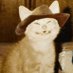 Beatbo (@boopbeat) Twitter profile photo Beatbo (@boopbeat) Twitter profile photo