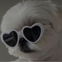 -_- (@yhaso6) 's Twitter Profile