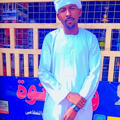 الأستاذ. النعيم محمد محمد حسين
جامعة سنار كلية التربيه