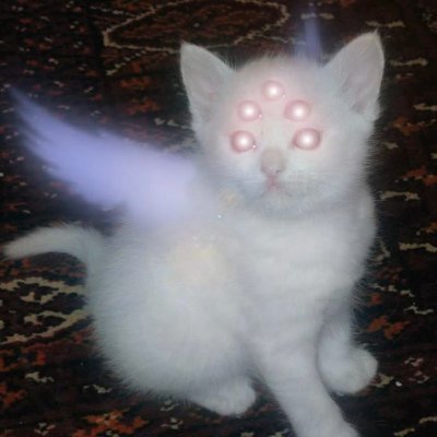 Joeltom21867's profile picture. ⭒࿔𝙹𝚘𝚢༄⋆ 🥩♥️  𝙼𝚢 𝚜𝚒𝚍𝚎: #animaltwt #drawtwt #shtwt