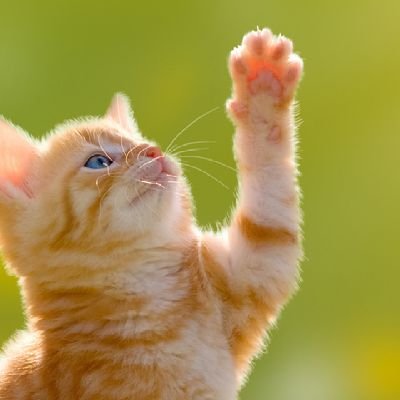 GZdvhEJONK62183's profile picture. 未来勉強会でビジネスのことを
学んでみませんか。
月額1000円で新たな世界へ！
気になる方はコチラ