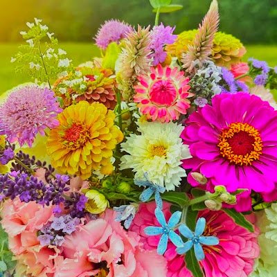 web_t44261's profile picture. 