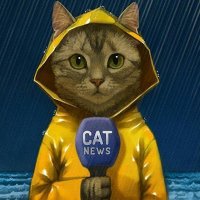 Keji Key (@keji_key) 's Twitter Profile