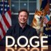 Doge God Father𝕏 (@dogegoddaddy) Twitter profile photo Doge God Father𝕏 (@dogegoddaddy) Twitter profile photo