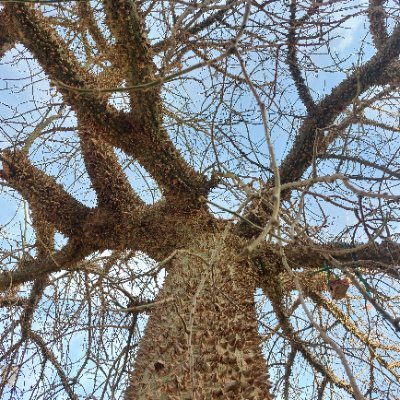 rana_shneishen's profile picture. تعالَ نَحتَكِمْ إلى ما ليس كراهيةً ولا موتاً
Writer, 
A Film student