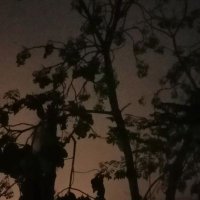 Rodriguez (@rodriguez55796) 's Twitter Profile