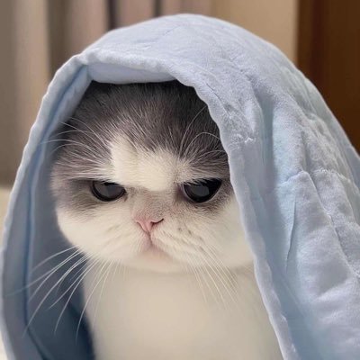kxnjznr__'s profile picture. มัมหมีฮงชิตาหลอดปัยย