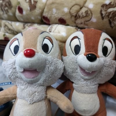 PFUのブルーニャちゃんと仲良くなりたい‼️
月夜の晩にオカリナ吹きたい😆
趣味:やがてシンデレラガール探し(*≧∀≦)人(≧∀≦*)♪
🐿️は🌍️を救う❤️