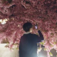 こた (@gn__kt55) 's Twitter Profile