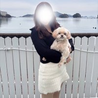 さぶりな (@submochico) 's Twitter Profile