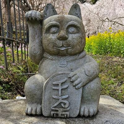 ナナハラさんのプロフィール画像