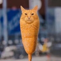Y (@yusukednc) 's Twitter Profile