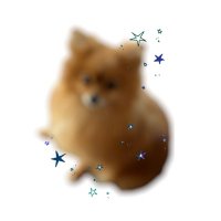 🍮🦪🍡💫 (@qwmsrp) 's Twitter Profile