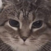 tie (@metietie) 's Twitter Profile Photo tie (@metietie) 's Twitter Profile Photo