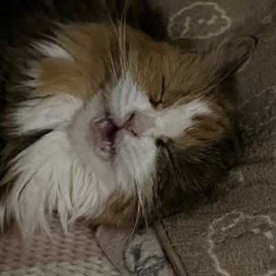 takuan501714's profile picture. 