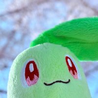 チコリズム (@chiko_nyaho) 's Twitter Profile Photo